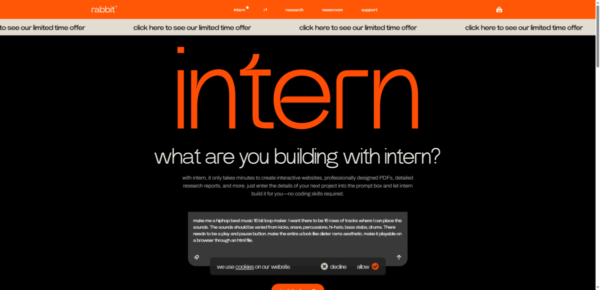 rabbit intern
