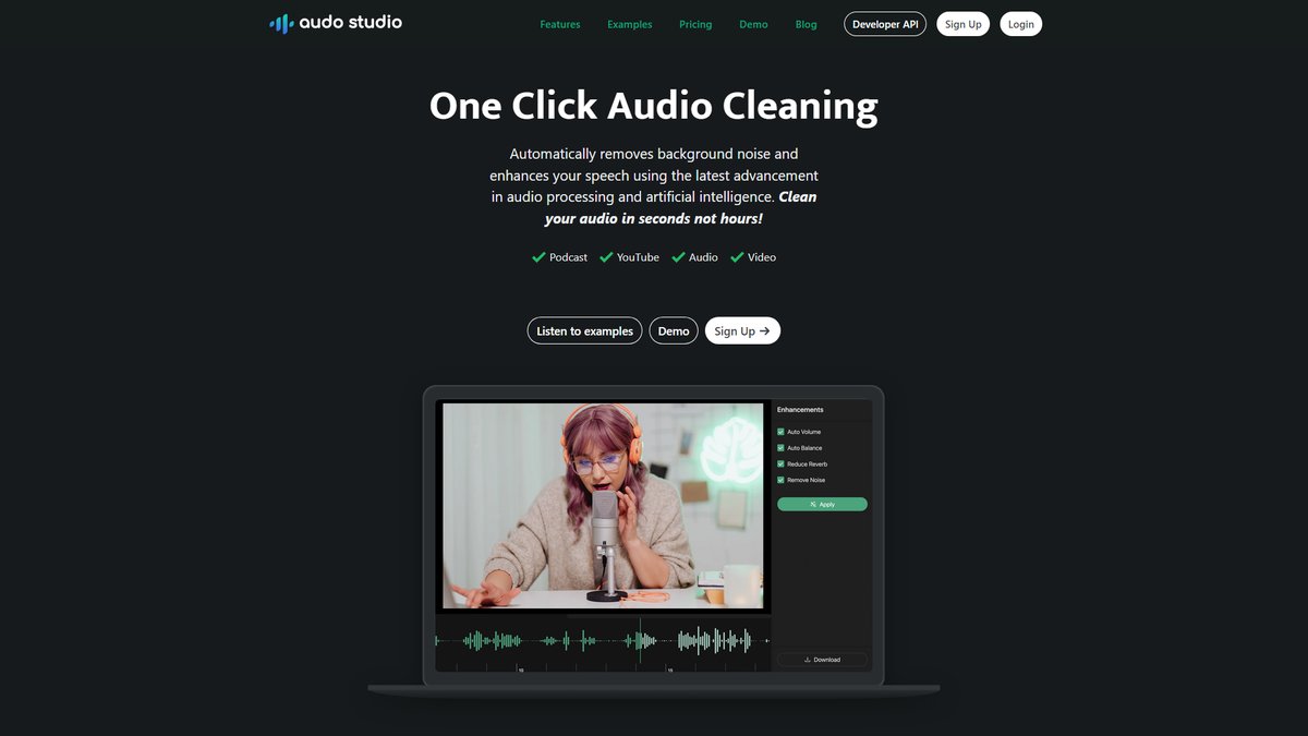 智人AI工具导航 - Audo Studio | AI一键音频清理神器